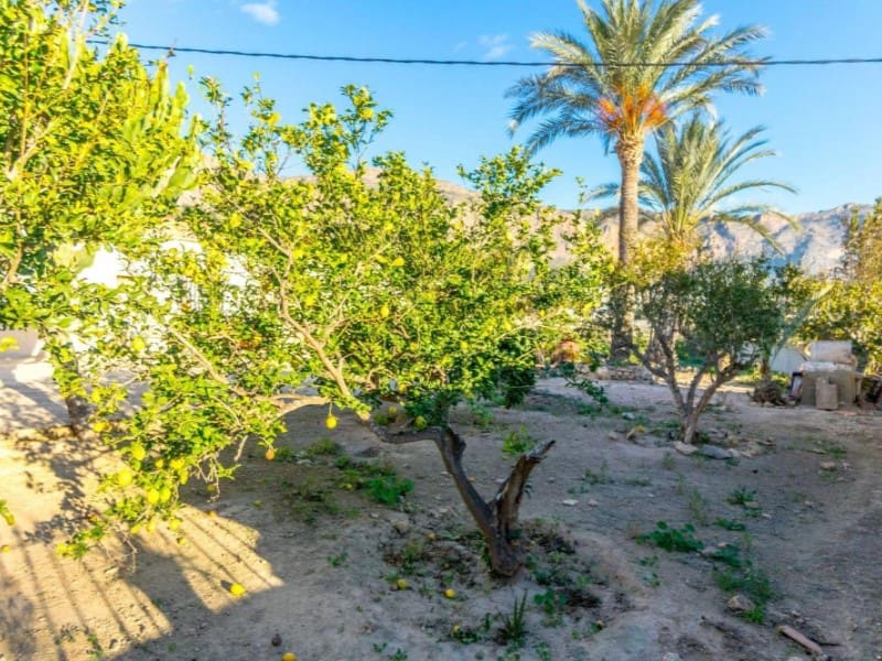 4 bedroom Finca/Country House for sale in Orihuela - € 250,000 (Ref: 10162239)
