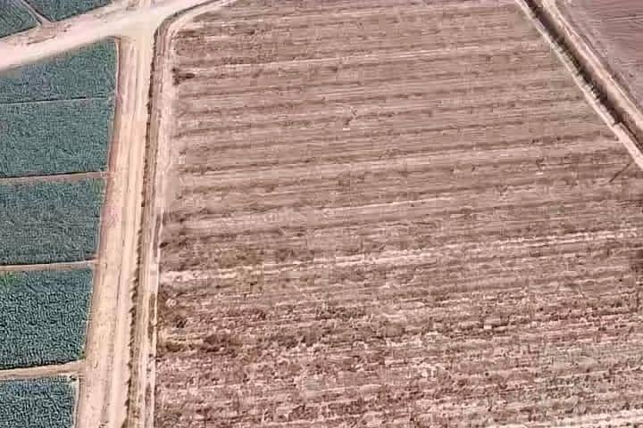 8 soveværelse Finca/Landehus til salg i La Escucha - € 420.000 (Ref: 7771744)