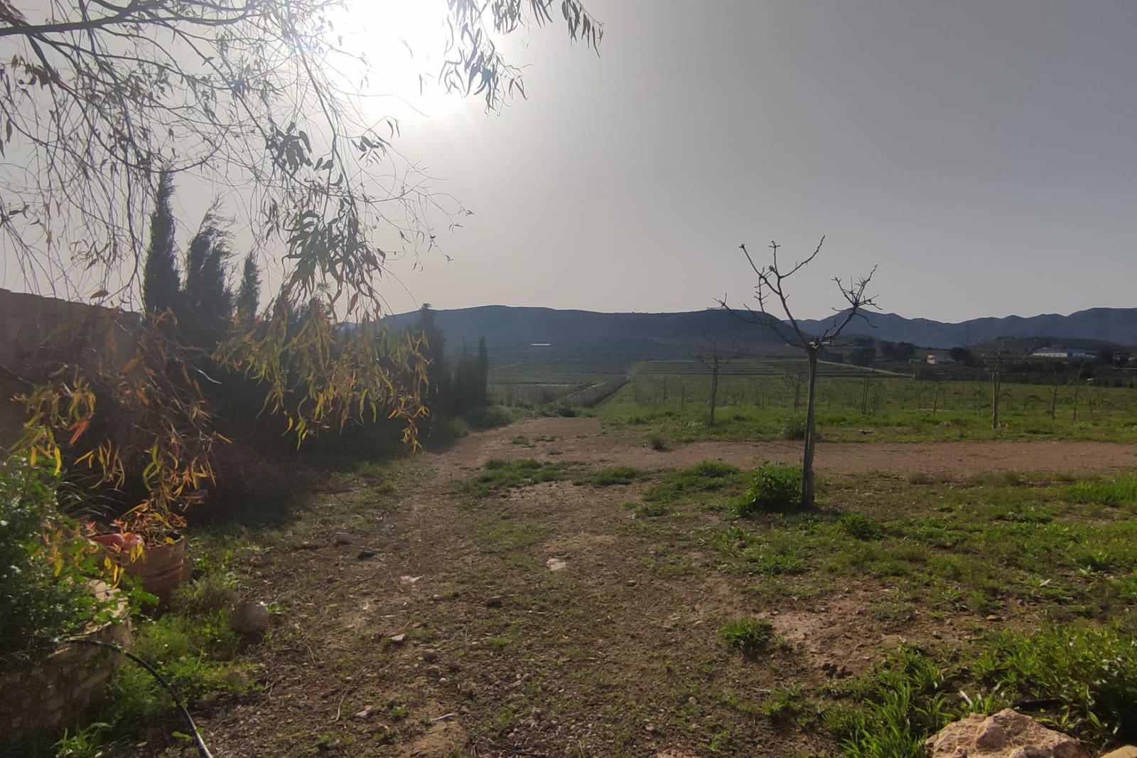 8 soveværelse Finca/Landehus til salg i La Escucha - € 420.000 (Ref: 7771744)