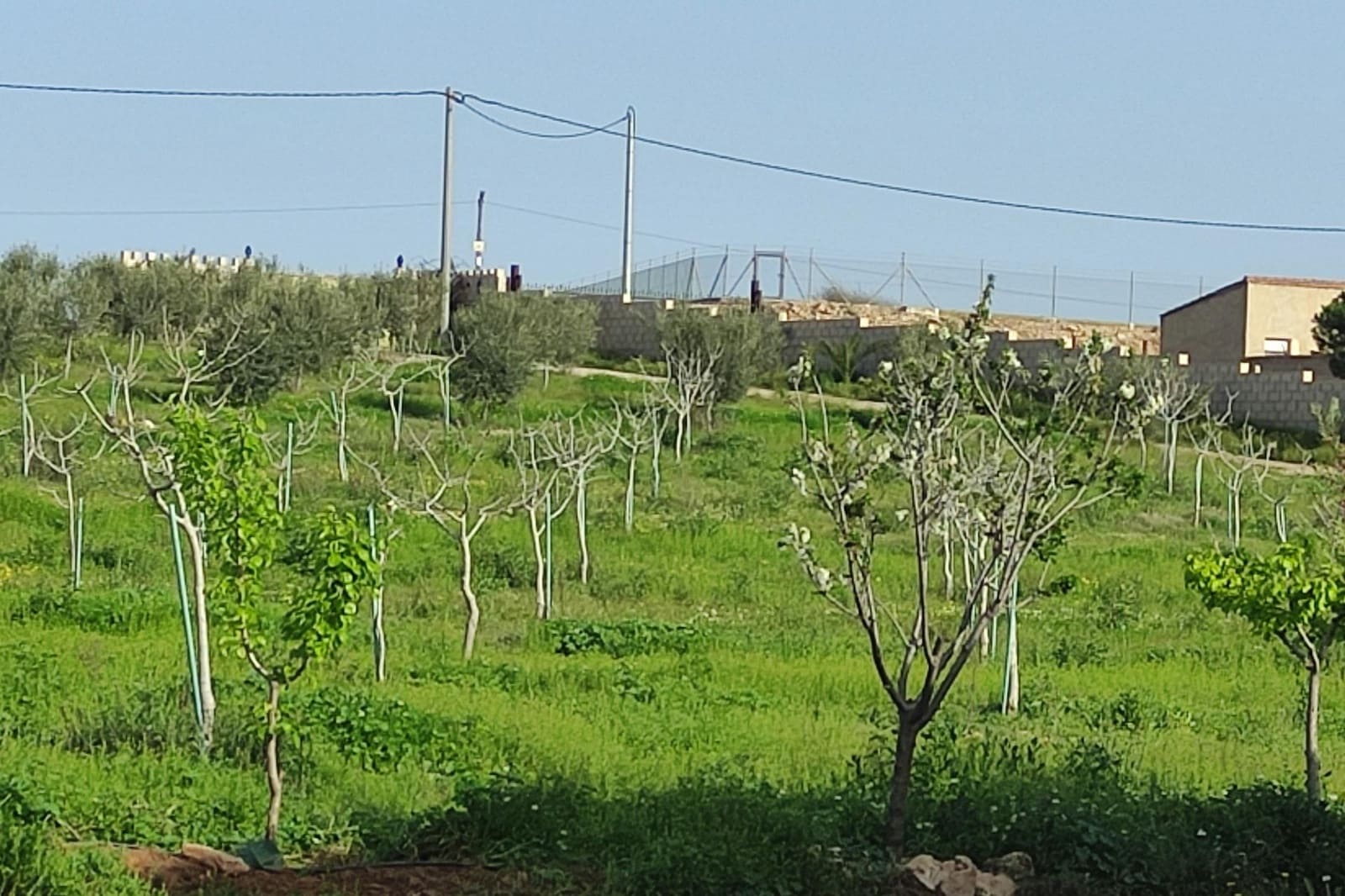 8 soveværelse Finca/Landehus til salg i La Escucha - € 420.000 (Ref: 7771744)