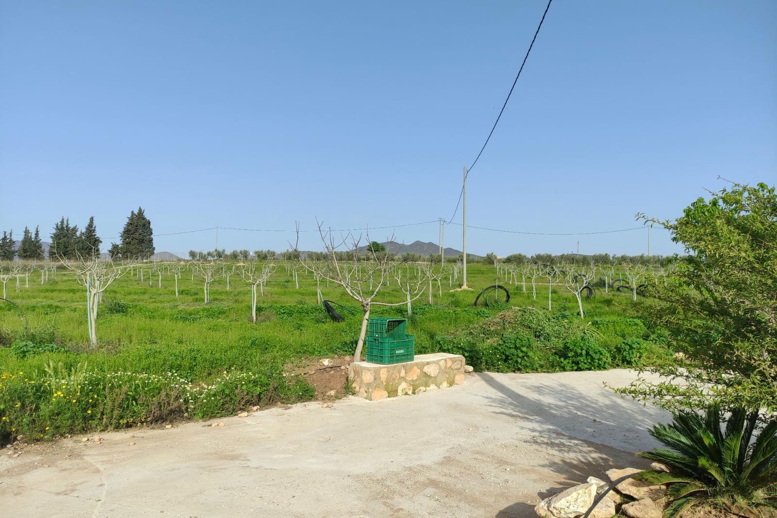 8 soveværelse Finca/Landehus til salg i La Escucha - € 420.000 (Ref: 7771744)