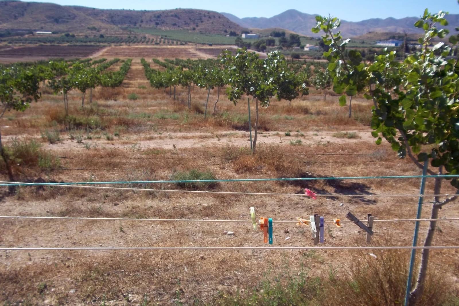 8 soveværelse Finca/Landehus til salg i La Escucha - € 420.000 (Ref: 7771744)