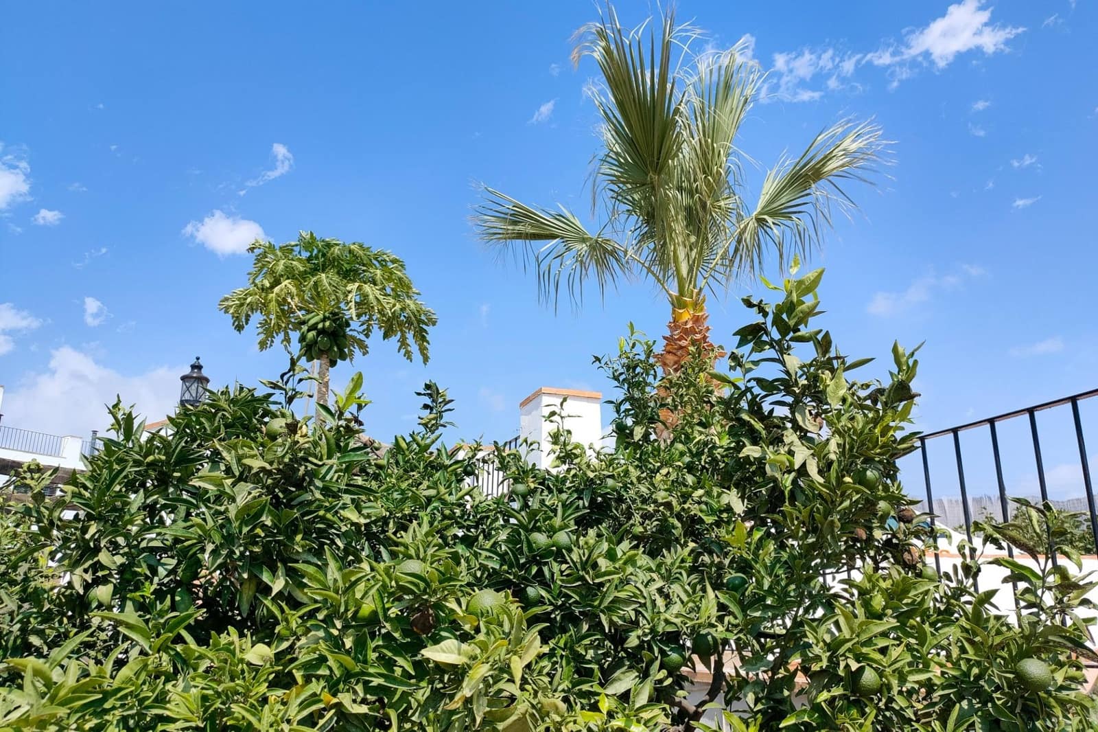 7 soveværelse Finca/Landehus til salg i Aguilas - € 850.000 (Ref: 7811940)