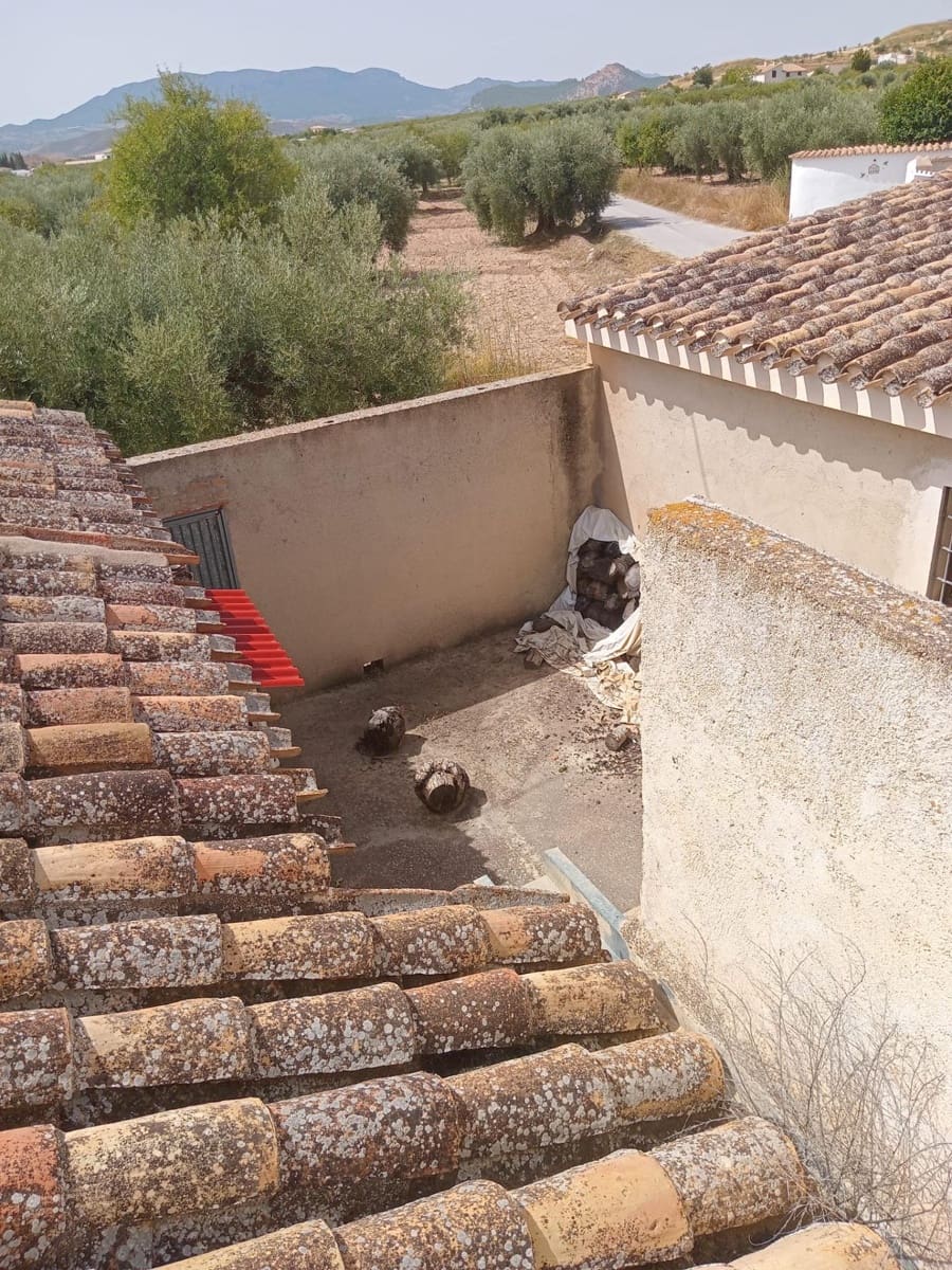 7 chambre Finca/Maison de Campagne à vendre à Velez-Blanco - 395 000 € (Ref: 9424461)