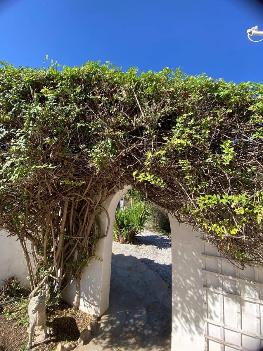 3 bedroom Finca/Country House for sale in Oria - € 220,000 (Ref: 9424462)