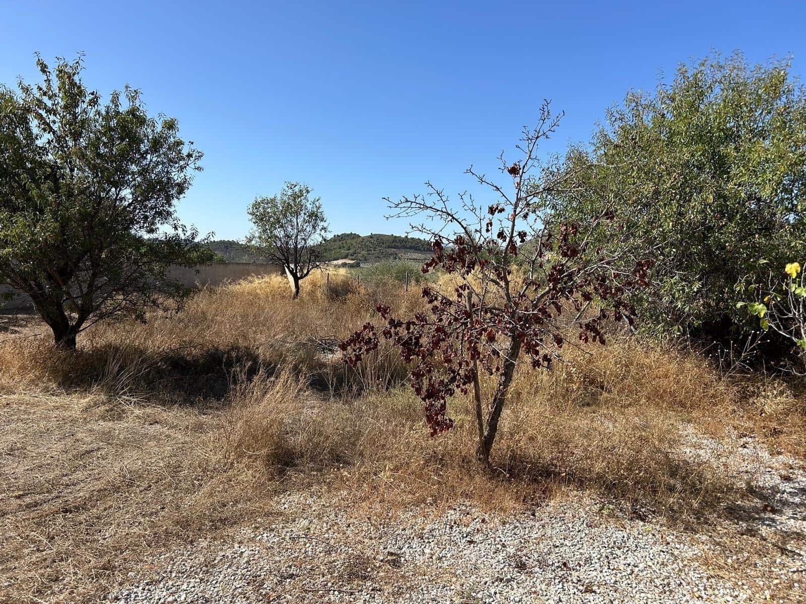 3 bedroom Finca/Country House for sale in Oria - € 220,000 (Ref: 9424462)