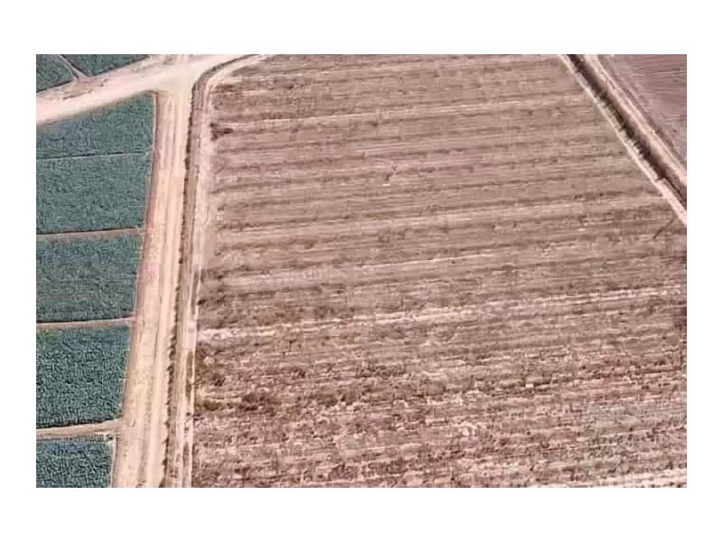 8 sovrum Finca/Hus på landet till salu i Lorca med garage - 420 000 € (Ref: 9777165)