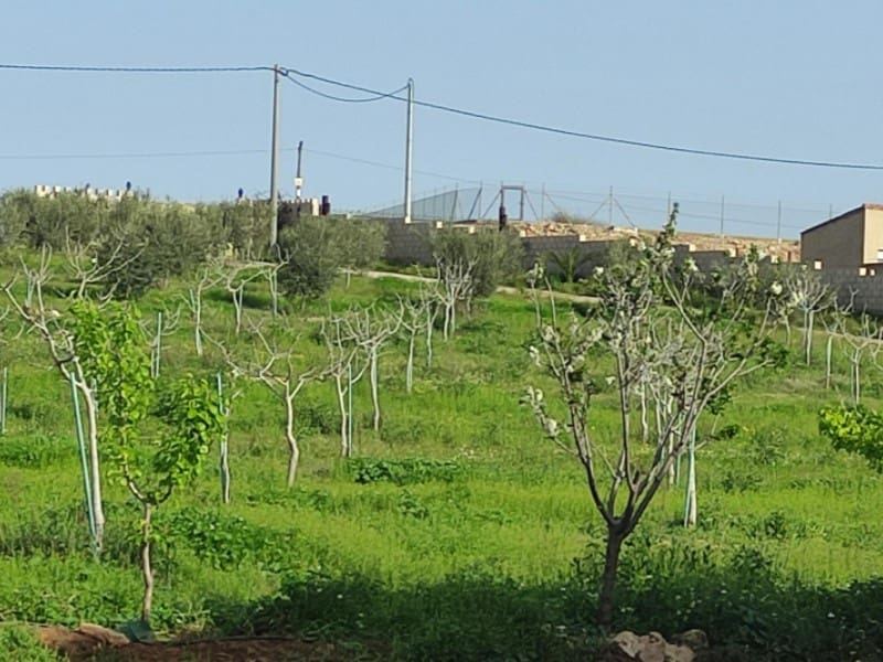 8 sovrum Finca/Hus på landet till salu i Lorca med garage - 420 000 € (Ref: 9777165)