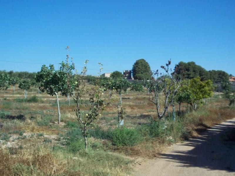 8 sovrum Finca/Hus på landet till salu i Lorca med garage - 420 000 € (Ref: 9777165)