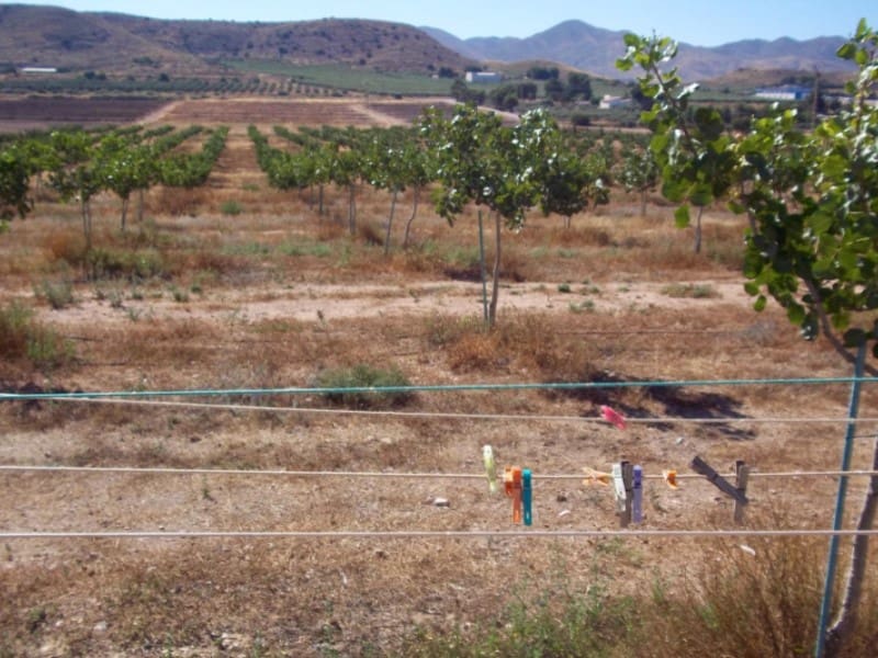 8 sovrum Finca/Hus på landet till salu i Lorca med garage - 420 000 € (Ref: 9777165)