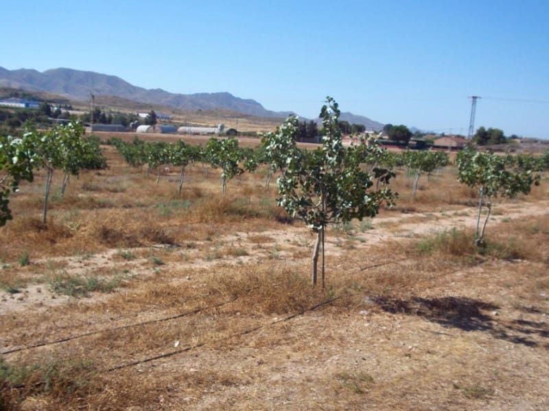 8 sovrum Finca/Hus på landet till salu i Lorca med garage - 420 000 € (Ref: 9777165)