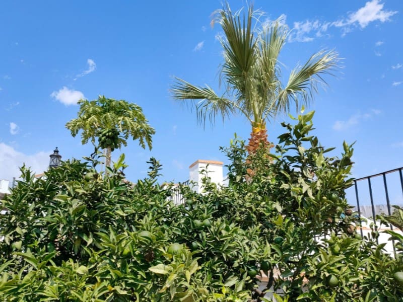 7 soverom Finca/Herregård til salgs i Aguilas med garasje - € 850 000 (Ref: 9777166)