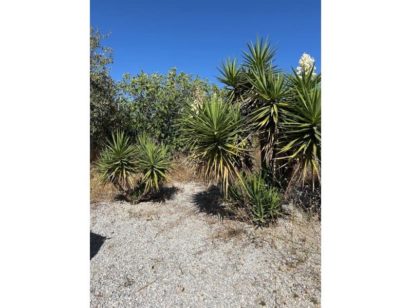 3 quarto Moradia para venda em Oria com garagem - 220 000 € (Ref: 9777190)