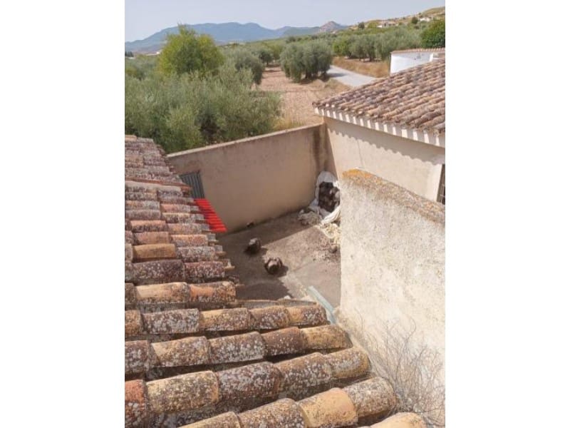 7 bedroom Finca/Country House for sale in Velez-Blanco with garage - € 395,000 (Ref: 9777206)