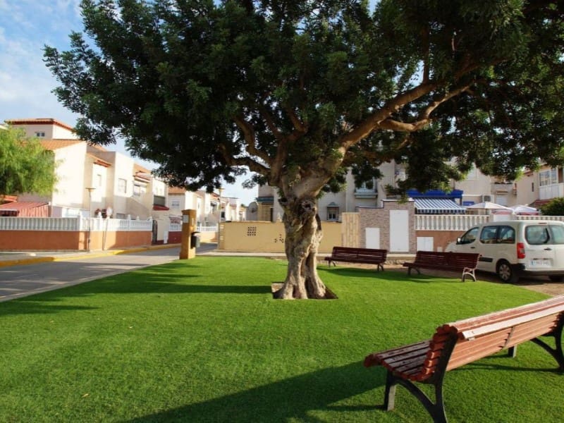 2 Zimmer Doppelhaus zu verkaufen in Playa Flamenca mit Pool - 149.000 € (Ref: 9984879)