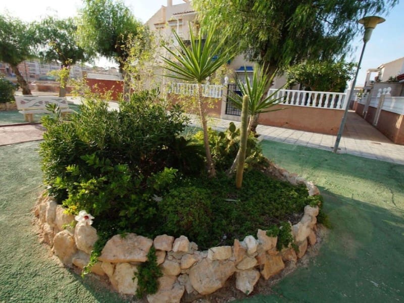 2 Zimmer Doppelhaus zu verkaufen in Playa Flamenca mit Pool - 149.000 € (Ref: 9984879)