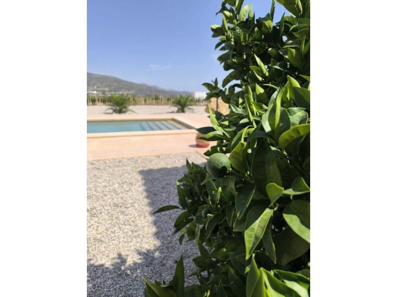 3 slaapkamer Villa te koop in Pinoso met zwembad - € 423.995 (Ref: 9984913)