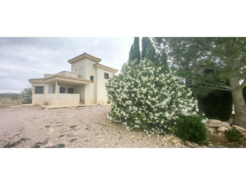 3 soveværelse Villa til salg i Pinoso med swimmingpool - € 375.000 (Ref: 9984944)