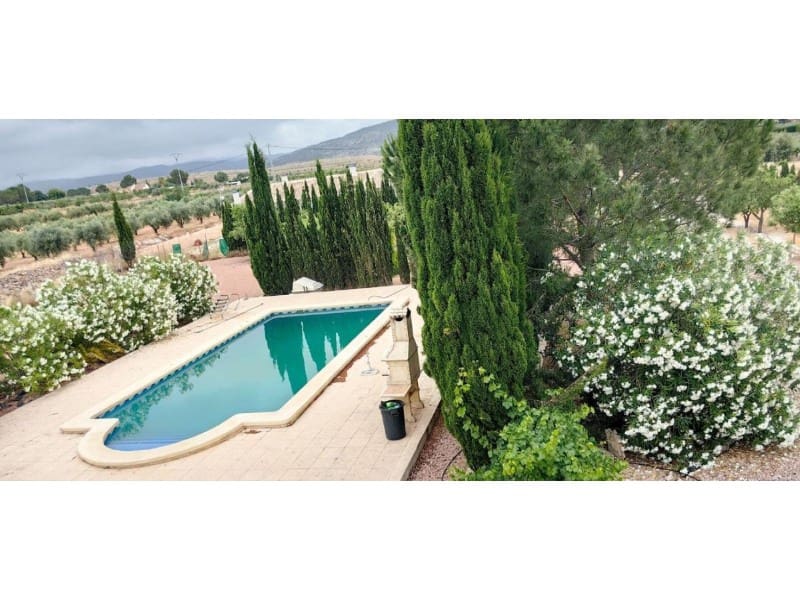 3 soveværelse Villa til salg i Pinoso med swimmingpool - € 375.000 (Ref: 9984944)