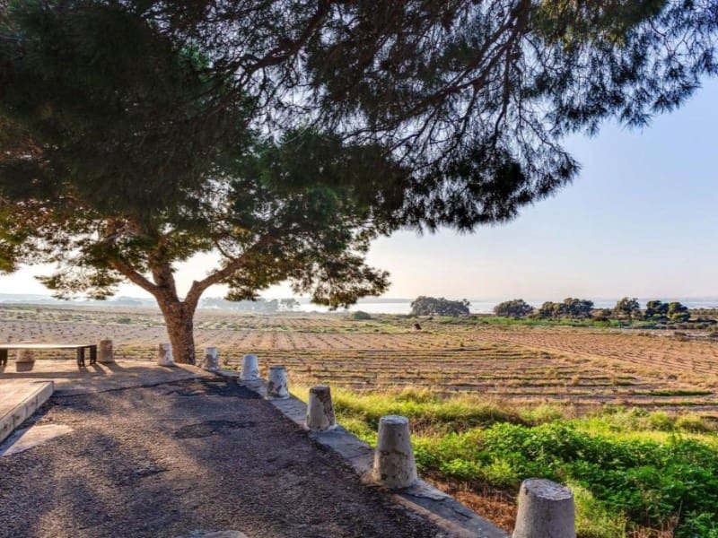 3 sypialnia Apartament na sprzedaż w Torrevieja - 300 000 € (Ref: 9995089)