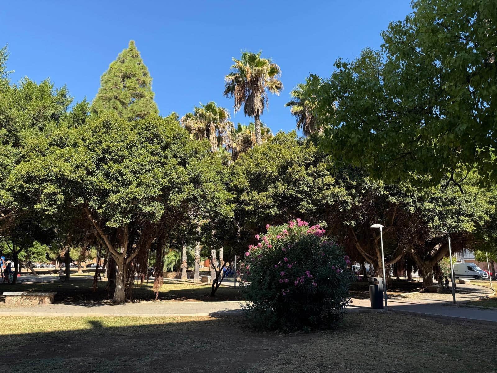 3 soverom Penthouse til salgs i Torrevieja - € 249 900 (Ref: 9630534)