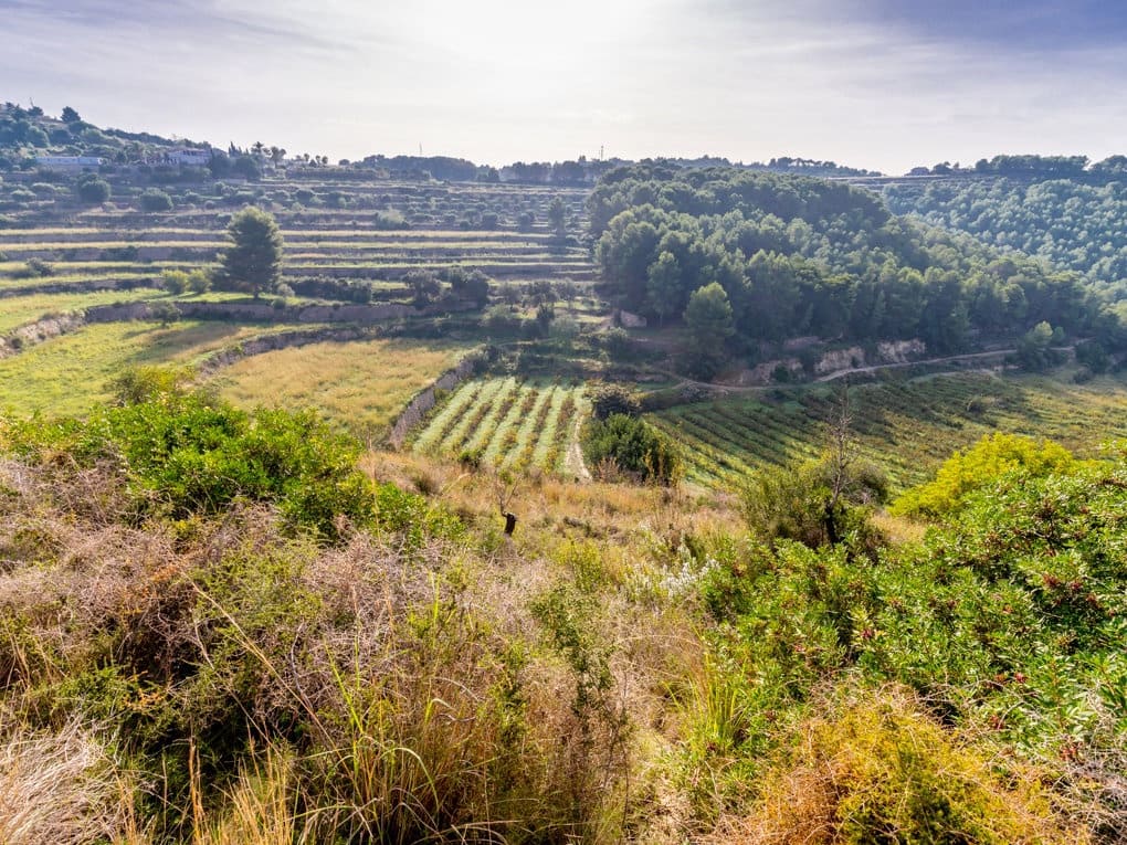 Undeveloped Land for sale in Benissa - € 1,150,000 (Ref: 7209738)