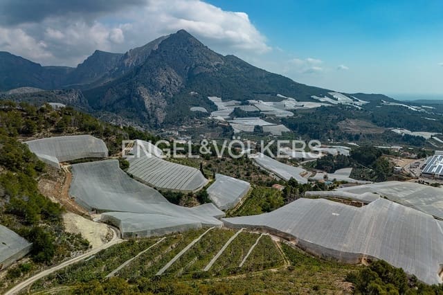 Rakentamaton maa myytävänä paikassa Callosa d'En Sarrià - 495 000 € (Ref: 9779928)