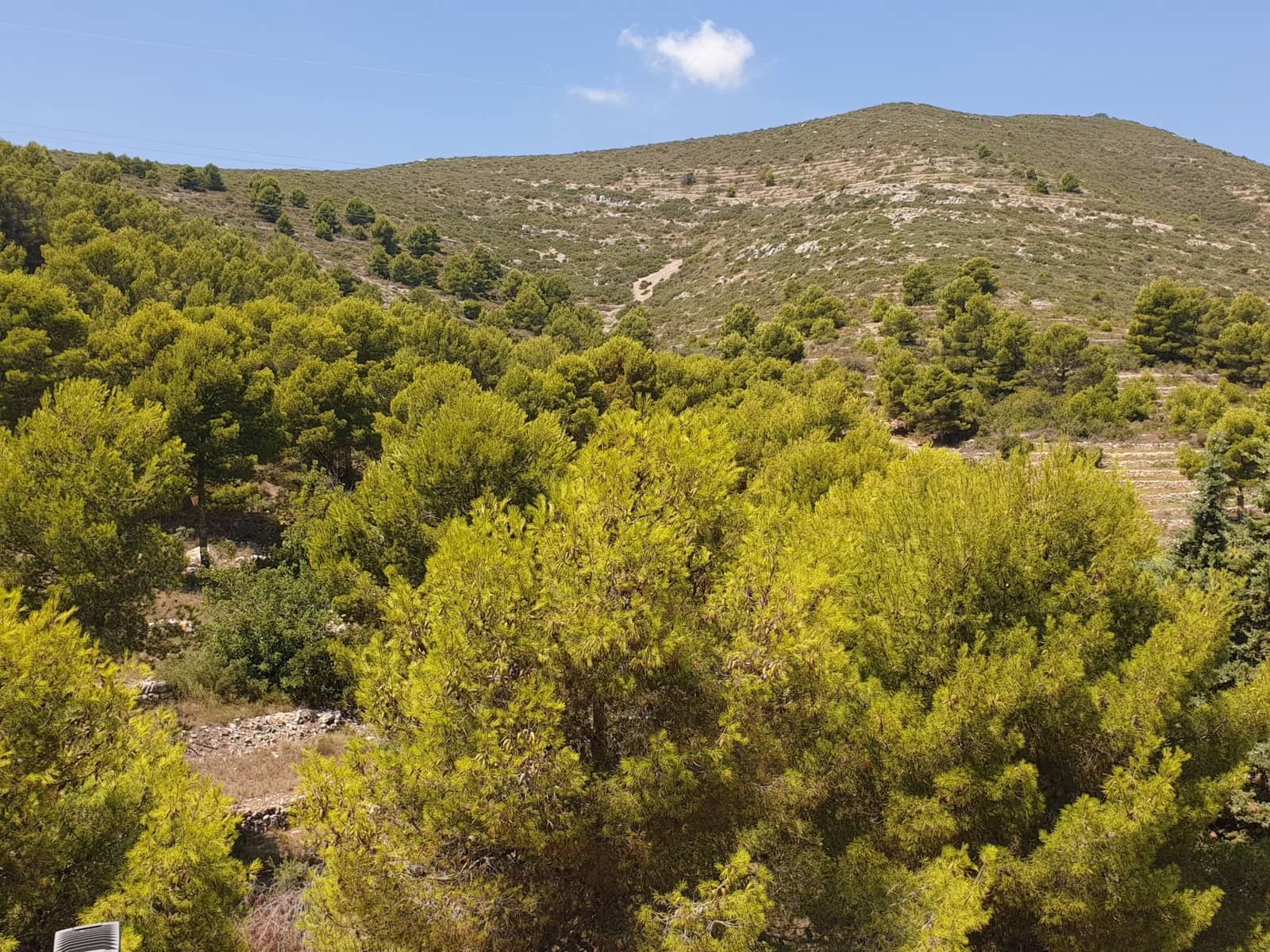 2 sovrum Takvåning för semesterbostäder i Peniscola med pool garage - 690 € (Ref: 3682699)