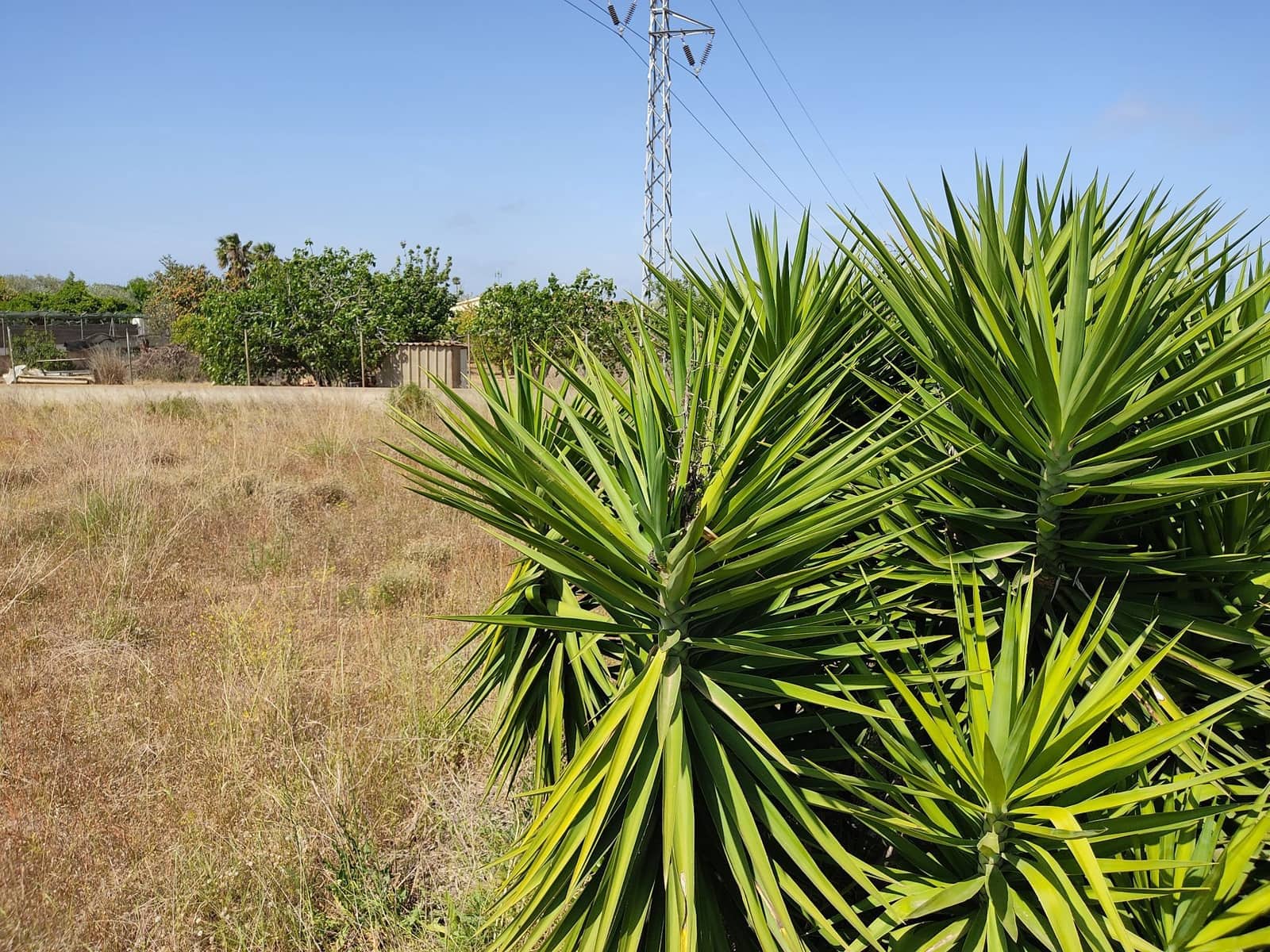 Finca/Landehus til salg i Benicarlo - € 65.000 (Ref: 6128534)