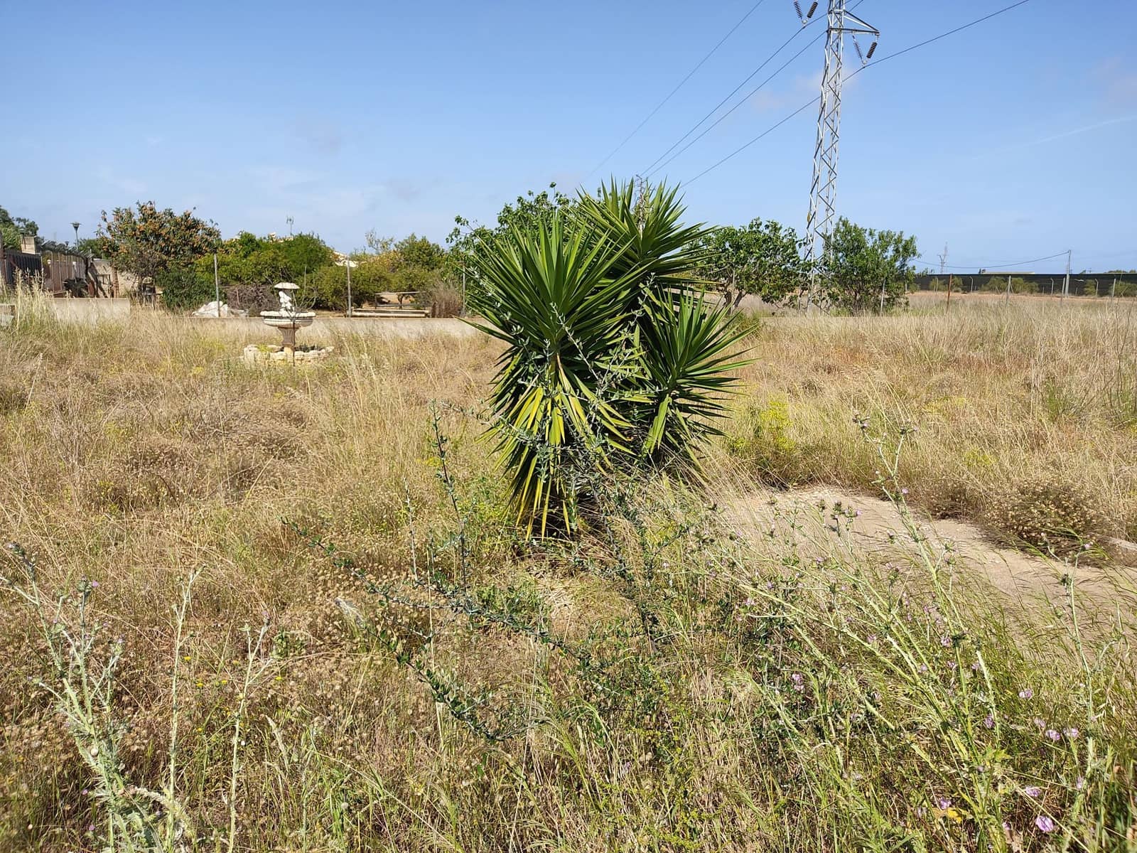 Finca/Landehus til salg i Benicarlo - € 65.000 (Ref: 6128534)