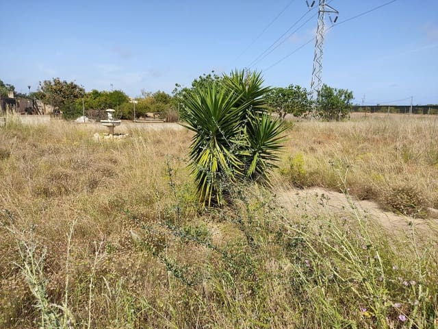Finca/Country House for sale in Benicarló - € 65,000 (Ref: 6128534)