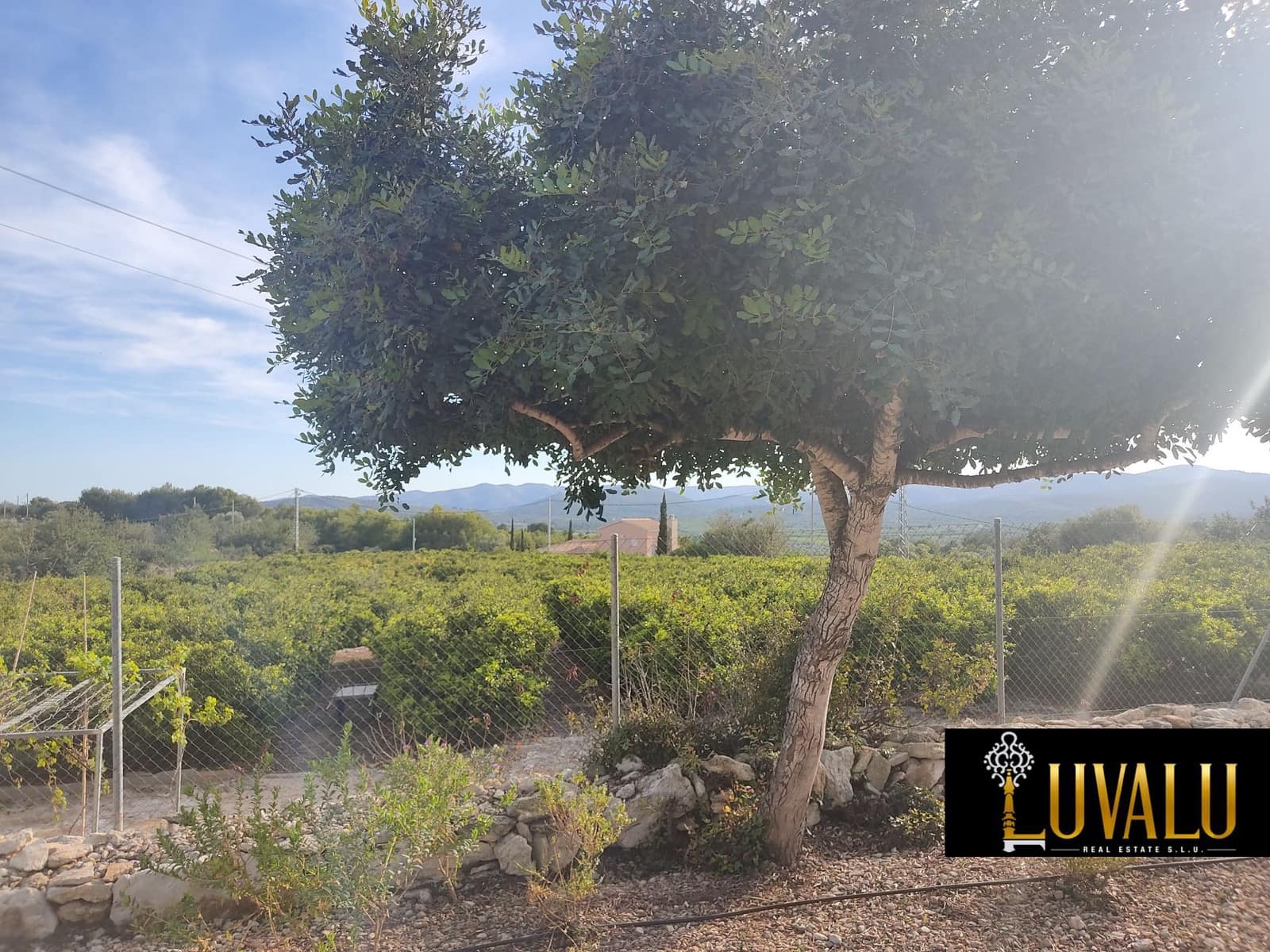 3 soveværelse Villa til salg i Calig med swimmingpool garage - € 565.000 (Ref: 6406647)