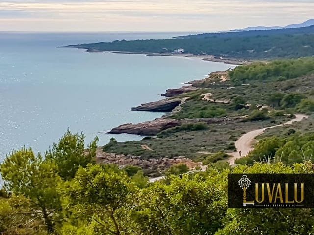 Garasje til salgs i Peñíscola - € 8 500 (Ref: 7709323)