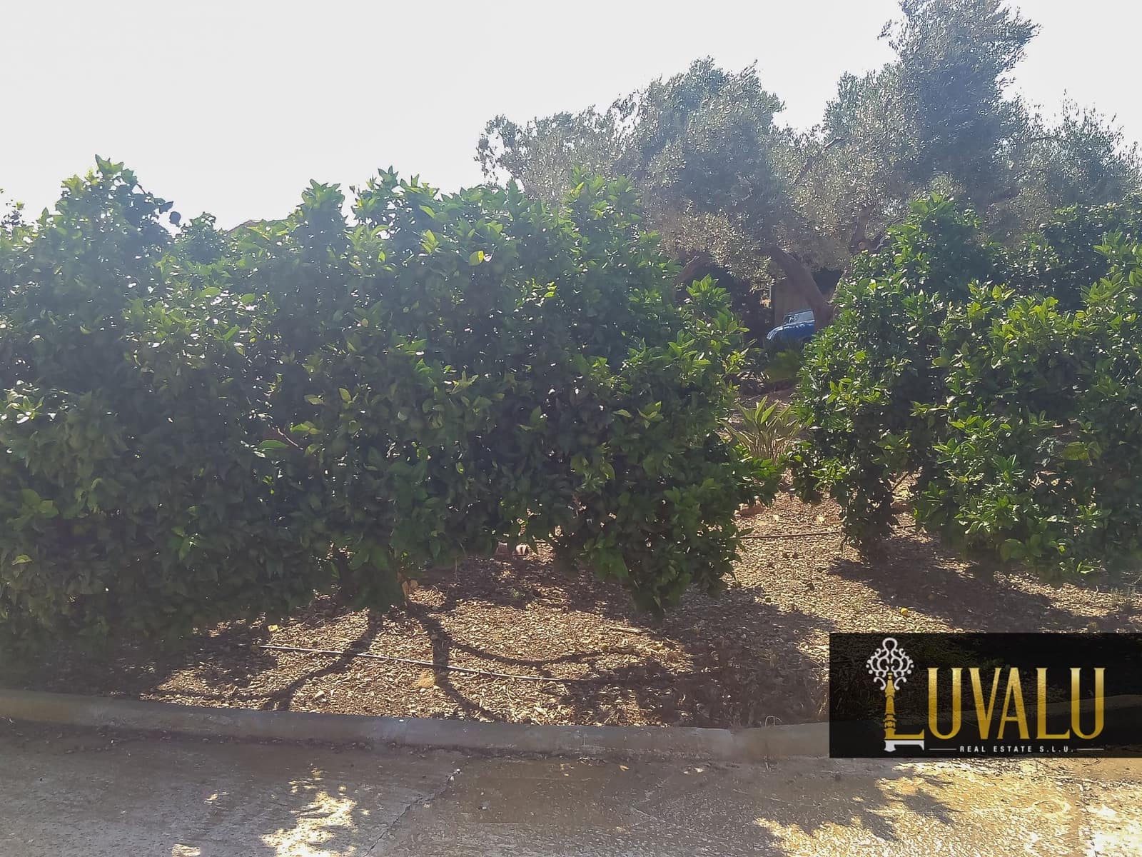 3 soveværelse Finca/Landehus til salg i Peniscola med swimmingpool garage - € 360.000 (Ref: 8178589)