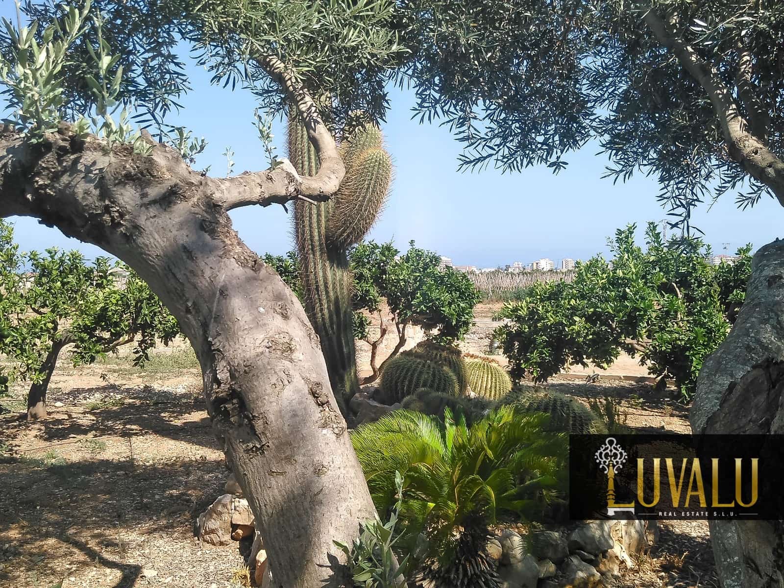 3 soveværelse Finca/Landehus til salg i Peniscola med swimmingpool garage - € 360.000 (Ref: 8178589)