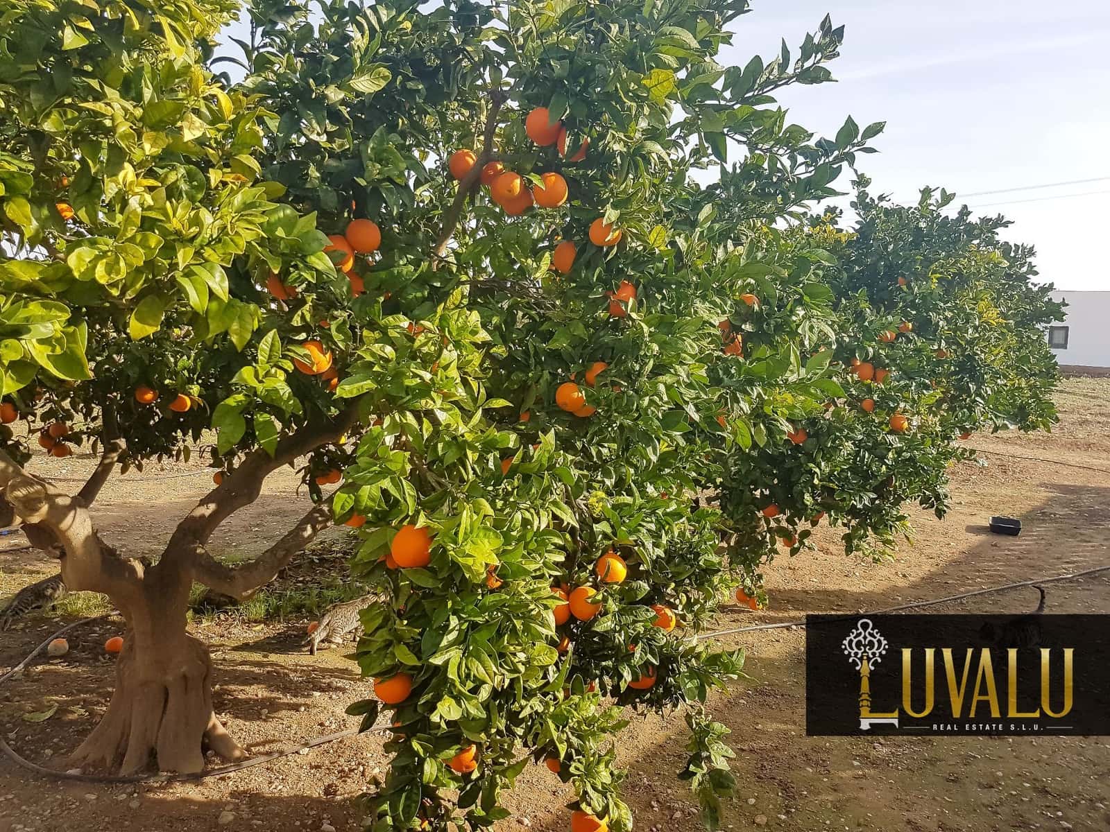 3 soveværelse Villa til salg i Vinaros med garage - € 399.000 (Ref: 8190201)