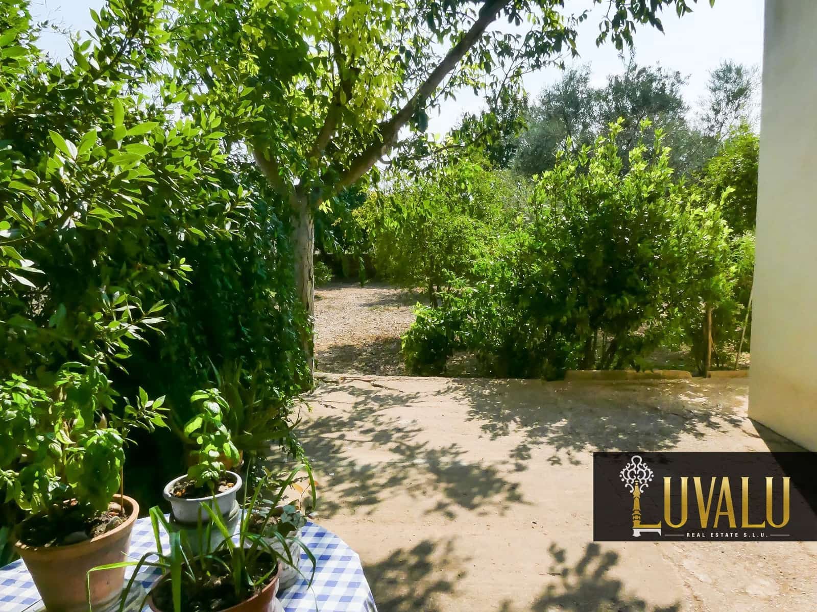 3 soveværelse Finca/Landehus til salg i Benicarlo med swimmingpool garage - € 320.000 (Ref: 8197137)