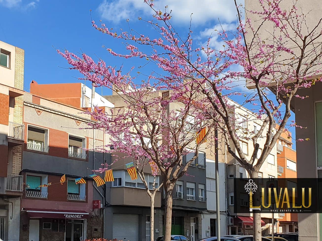 2 soveværelse Lejlighed til salg i Benicarlo med swimmingpool - € 105.000 (Ref: 8703652)