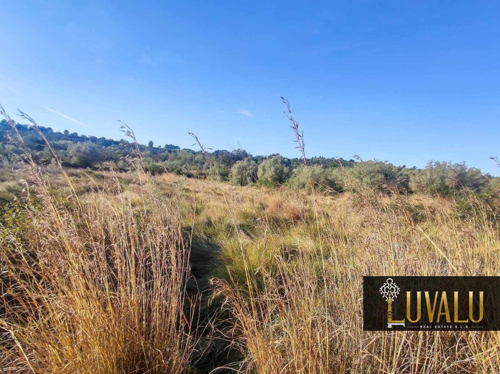 Teren niezagospodarowany na sprzedaż w Cervera del Maestre / Cervera del Maestrat - 27 000 € (Ref: 8827169)