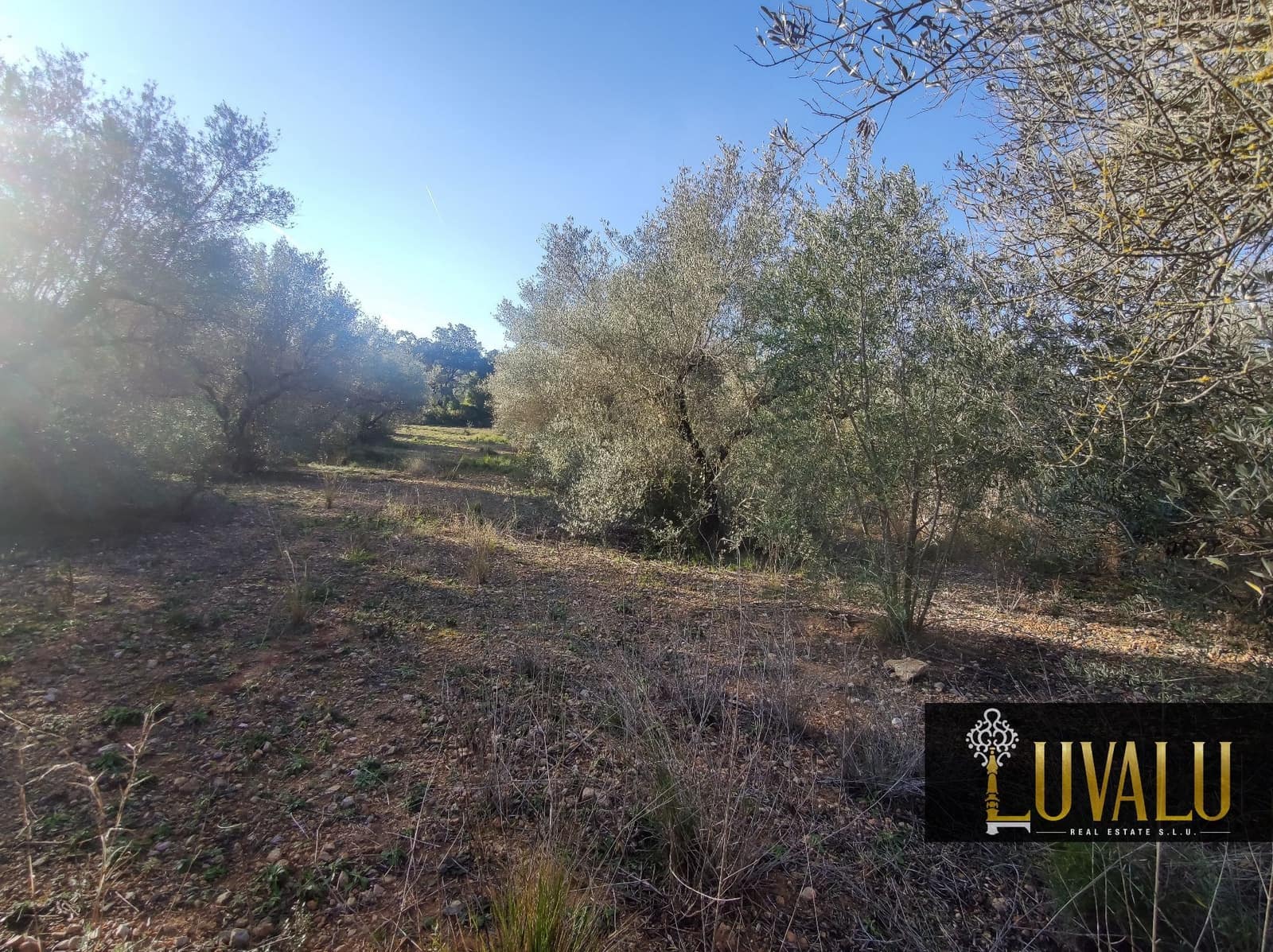 Teren niezagospodarowany na sprzedaż w Cervera del Maestre / Cervera del Maestrat - 27 000 € (Ref: 8827169)