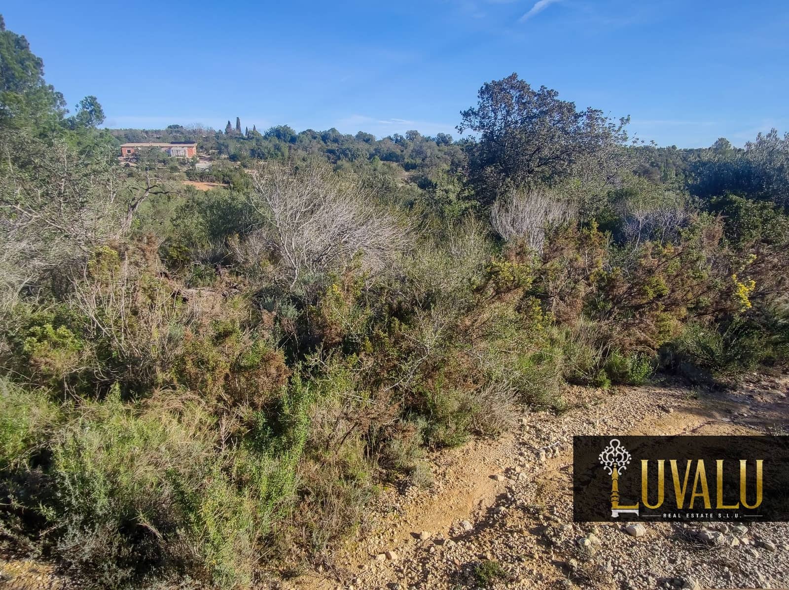 Teren niezagospodarowany na sprzedaż w Cervera del Maestre / Cervera del Maestrat - 27 000 € (Ref: 8827169)