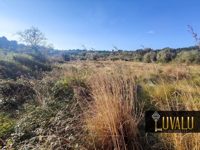 Undeveloped Land for sale in Cervera del Maestre / Cervera del Maestrat - € 27,000 (Ref: 8827169)