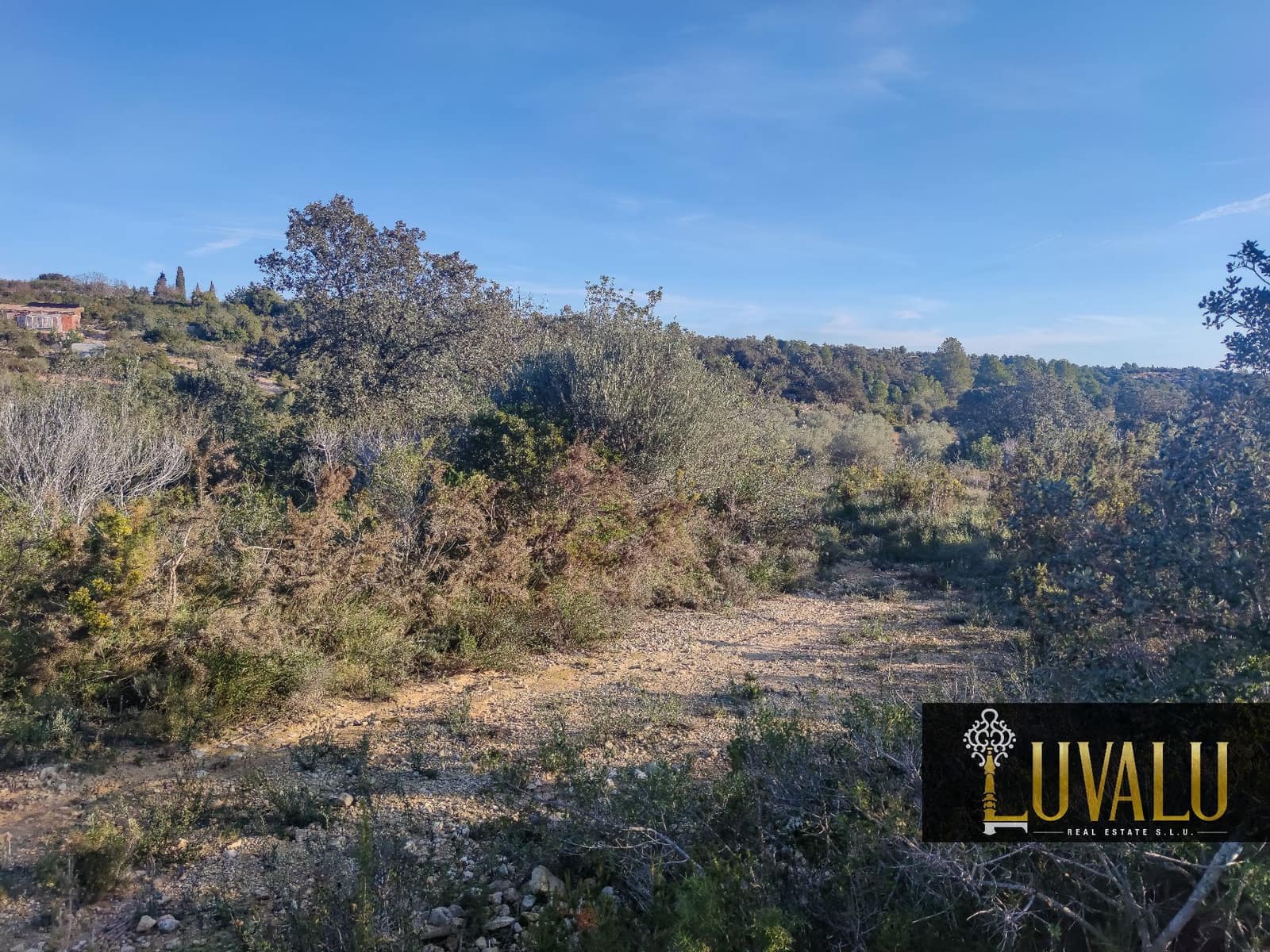 Teren niezagospodarowany na sprzedaż w Cervera del Maestre / Cervera del Maestrat - 27 000 € (Ref: 8827169)