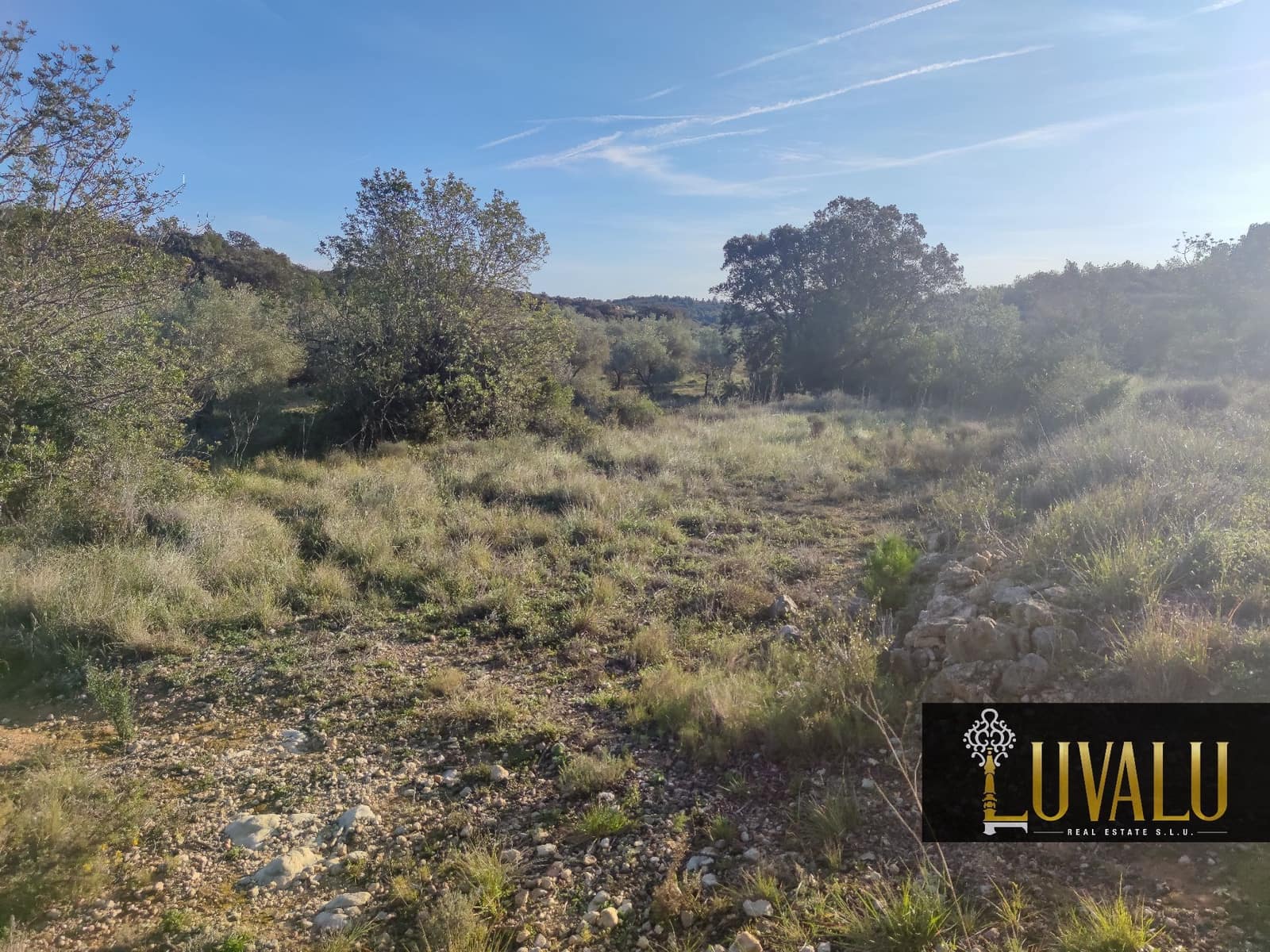 Teren niezagospodarowany na sprzedaż w Cervera del Maestre / Cervera del Maestrat - 27 000 € (Ref: 8827169)