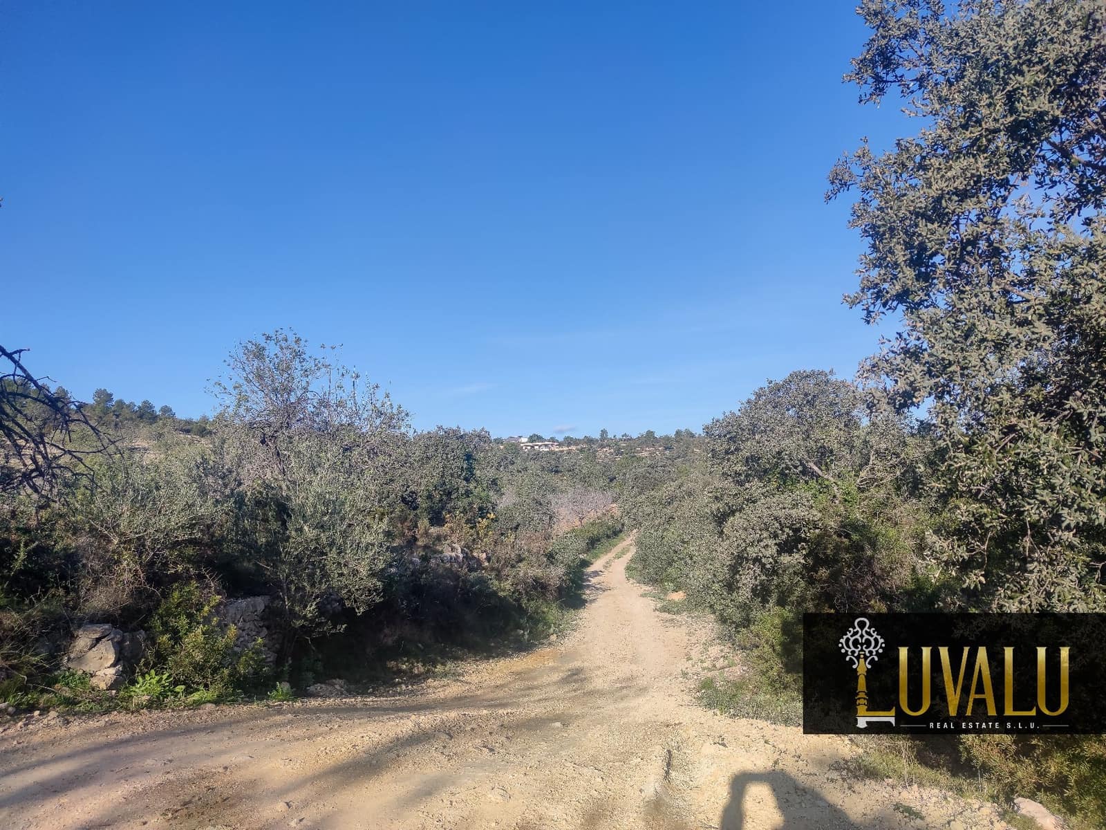 Teren niezagospodarowany na sprzedaż w Cervera del Maestre / Cervera del Maestrat - 27 000 € (Ref: 8827169)