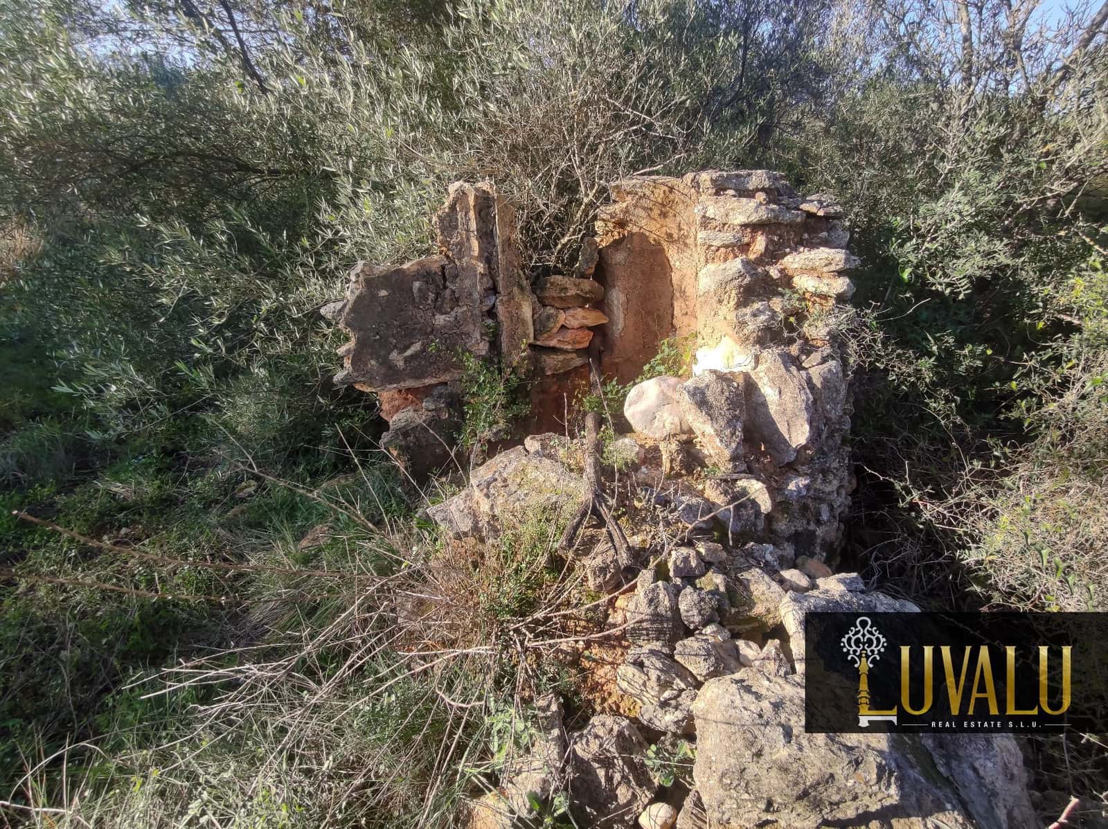 Teren niezagospodarowany na sprzedaż w Cervera del Maestre / Cervera del Maestrat - 27 000 € (Ref: 8827169)