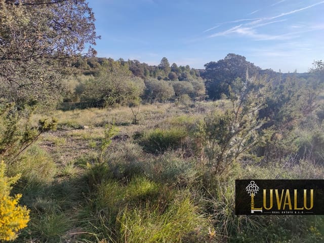 Undeveloped Land for sale in Cervera del Maestre / Cervera del Maestrat - € 27,000 (Ref: 8827169)