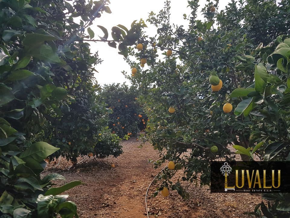 2 soverom Finca/Herregård til salgs i Benicarlo med svømmebasseng garasje - € 235 000 (Ref: 8901959)