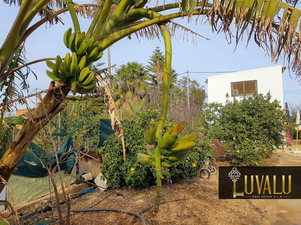 2 soverom Finca/Herregård til salgs i Benicarlo med svømmebasseng garasje - € 235 000 (Ref: 8901959)