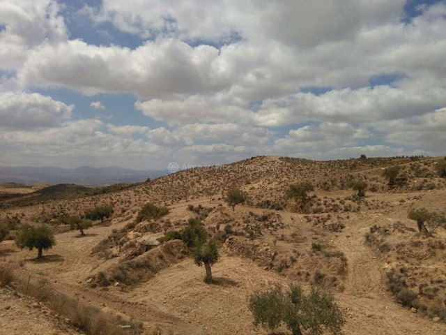 3 soveværelse Finca/Landehus til salg i Albox - € 150.000 (Ref: 3244106)